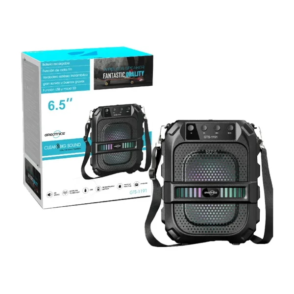 GTS-1191 | 10W Wireless Bluetooth Speaker with 6.5″ Subwoofer, FM Radio & Multi-Input Support - Image 5