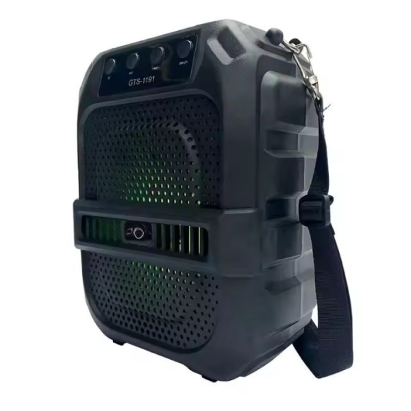 GTS-1191 | 10W Wireless Bluetooth Speaker with 6.5″ Subwoofer, FM Radio & Multi-Input Support - Image 8